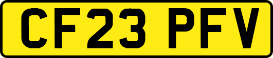 CF23PFV