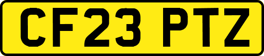 CF23PTZ