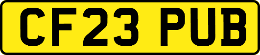 CF23PUB