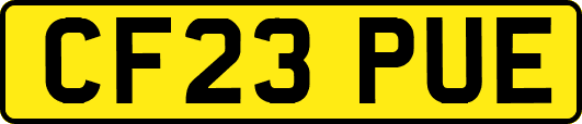 CF23PUE