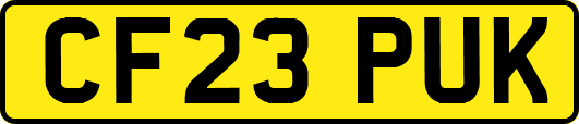CF23PUK