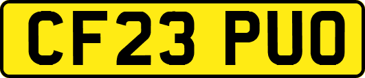 CF23PUO
