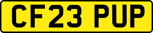 CF23PUP