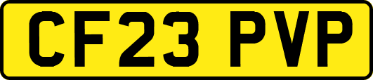 CF23PVP