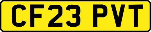 CF23PVT