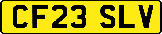 CF23SLV