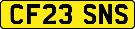 CF23SNS