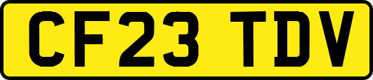 CF23TDV