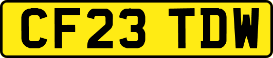 CF23TDW