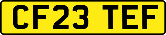 CF23TEF