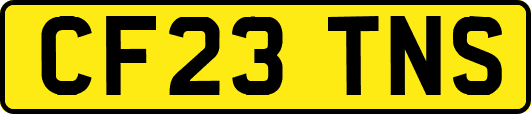 CF23TNS
