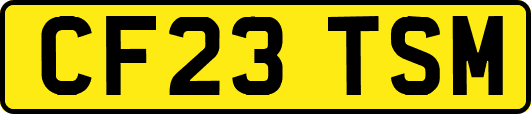 CF23TSM