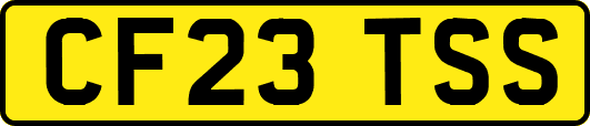 CF23TSS