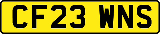 CF23WNS