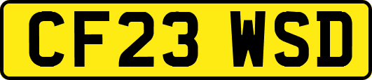 CF23WSD