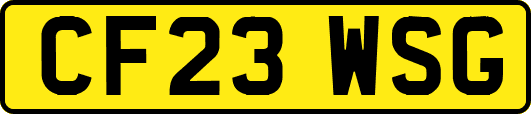 CF23WSG