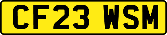 CF23WSM