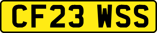 CF23WSS
