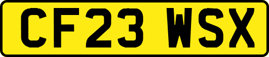 CF23WSX