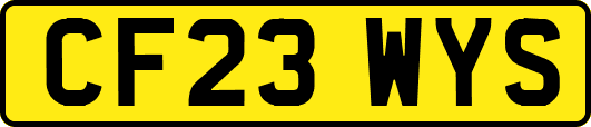 CF23WYS