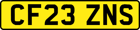 CF23ZNS