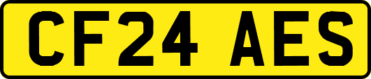 CF24AES