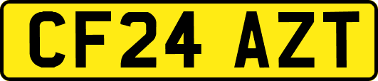 CF24AZT