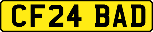 CF24BAD