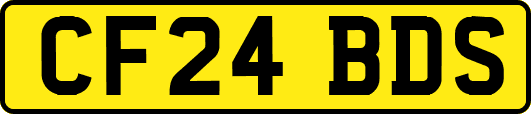 CF24BDS