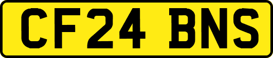 CF24BNS