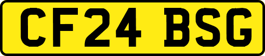 CF24BSG