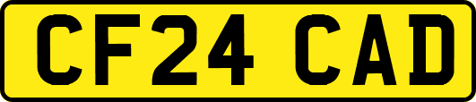 CF24CAD