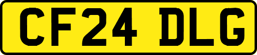 CF24DLG