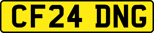CF24DNG