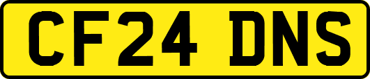 CF24DNS