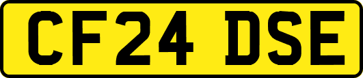 CF24DSE