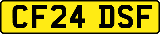 CF24DSF