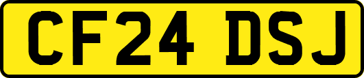 CF24DSJ