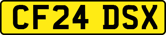 CF24DSX
