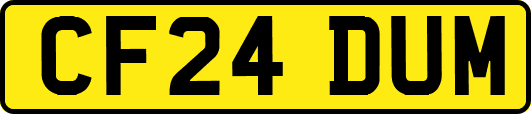CF24DUM