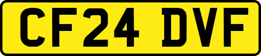 CF24DVF