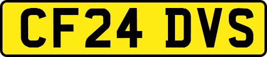 CF24DVS