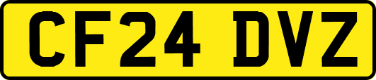 CF24DVZ