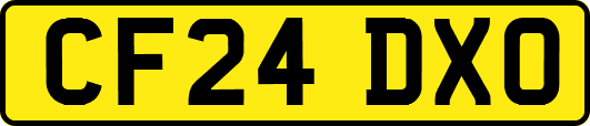 CF24DXO