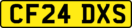CF24DXS