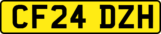 CF24DZH
