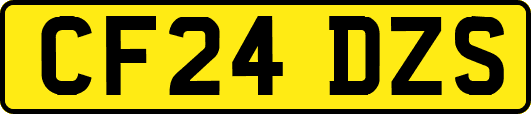 CF24DZS