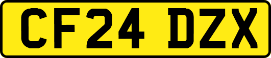 CF24DZX