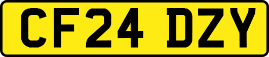 CF24DZY