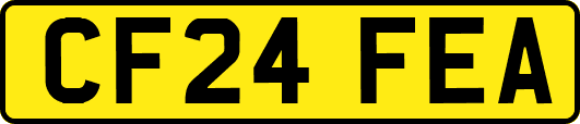 CF24FEA